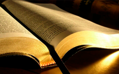 Lectura Anual de la biblia-Mes abril