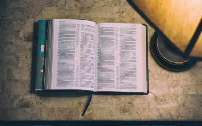 Lectura de la biblia en un año-Febrero 2025