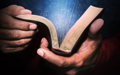 Lectura de la biblia en un año- mes de Enero 2025