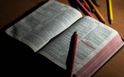 Lectura a un año-Marzo