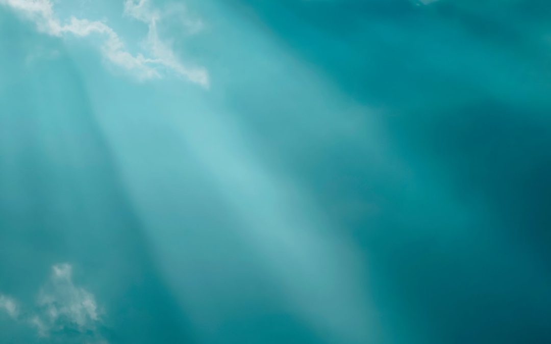 Acerca de Jesucristo parte 24